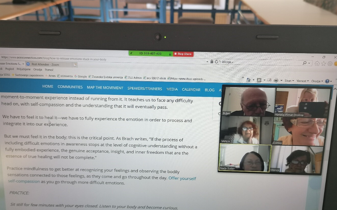 ZLU angleščina na daljavo (1)