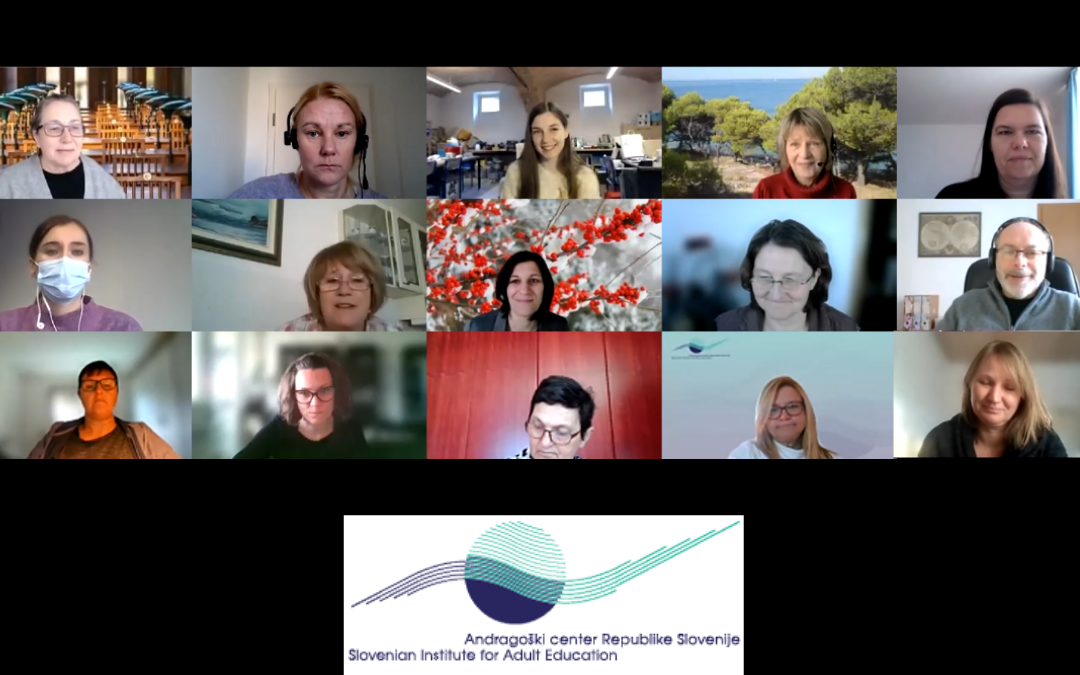 Posnetek zaslona - predstavitev magistrske