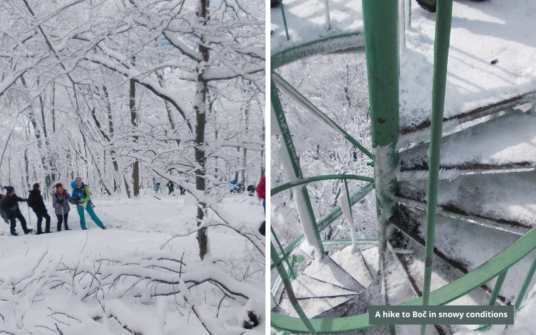 Aktivnosti oseb s slepoto in slabovidnostjo (8) Zasneženi Boč