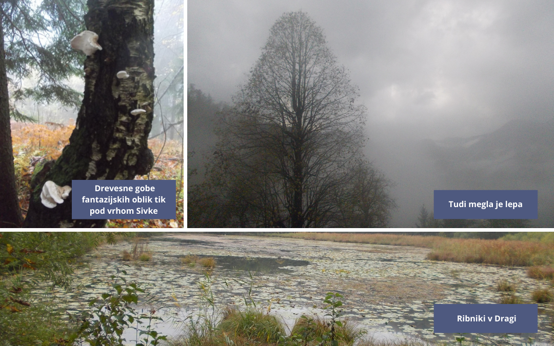 Oktobrski pohodi (3)