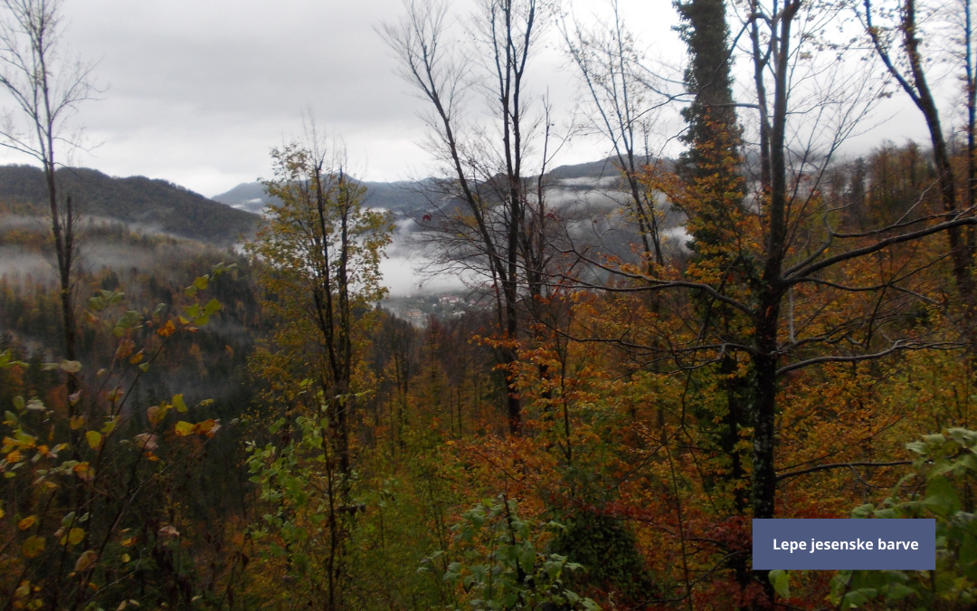 Pot na Hleviško planino (1)