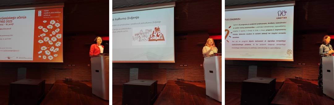 Izdelek brez naslova (51)