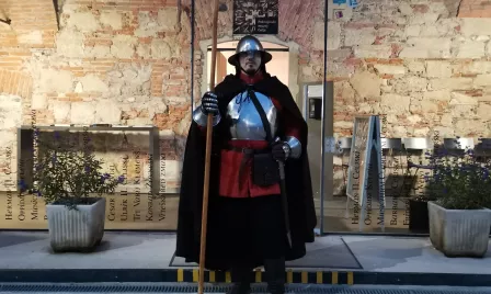 Discovering the past for today and tomorrow or how the Counts of Celje unite the wider region