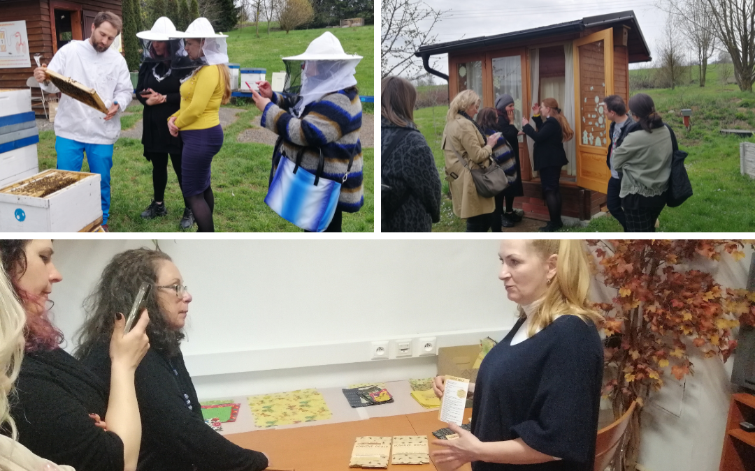 Projekt Erasmus Bee Green, Srečanje v Banski Projekt Erasmus Bee Green: Srečanje v Banski Bystrici