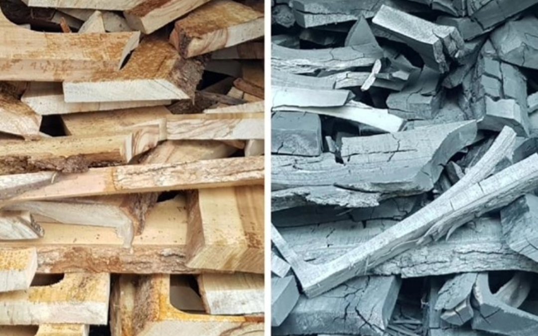 Biooglje, nastalo v procesu pirolize lesa Biooglje, nastalo v procesu pirolize lesa