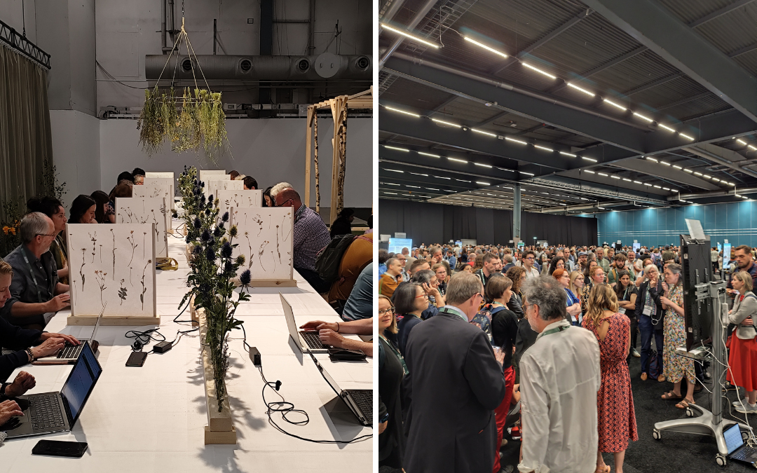 Nekaj utrinkov z dogajanja