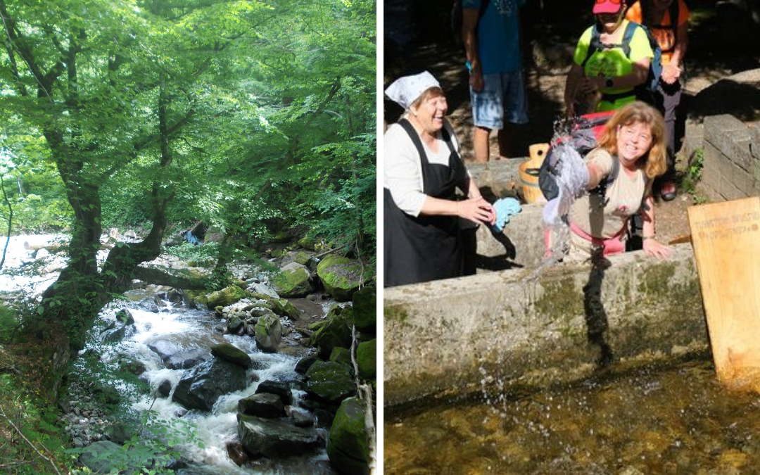 Oplotnica Park stoletnih dreves in vaško perišče ob potoku Oplotnica