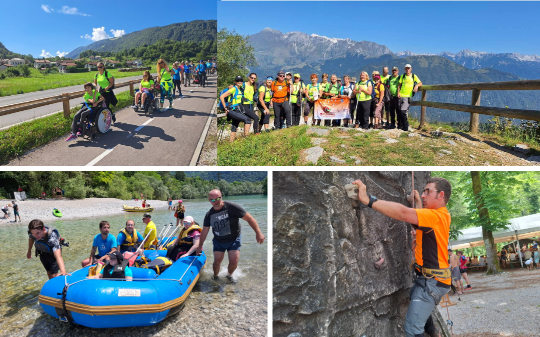 Parafestival Parafestival