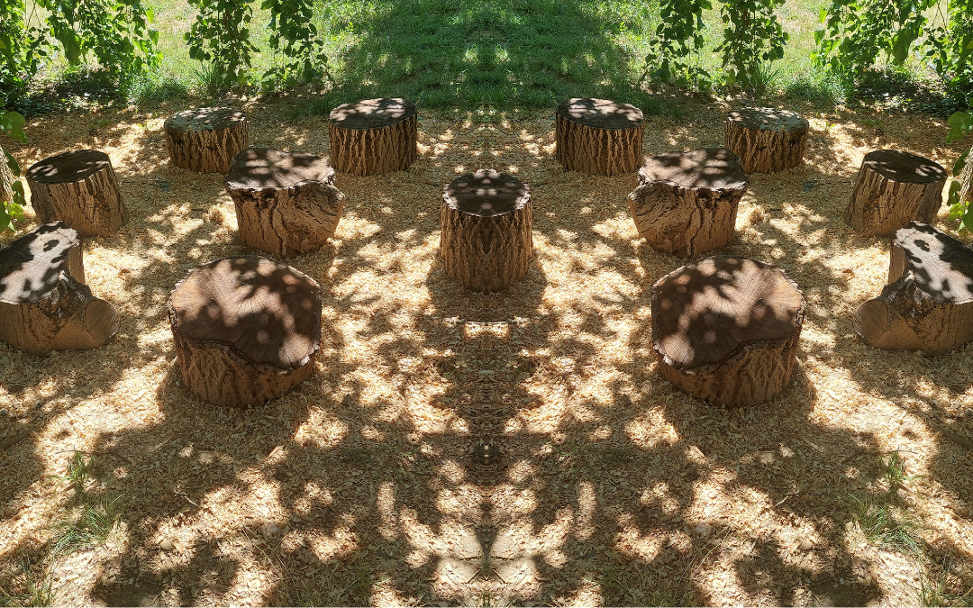 Na sliki ga površina v gozdu