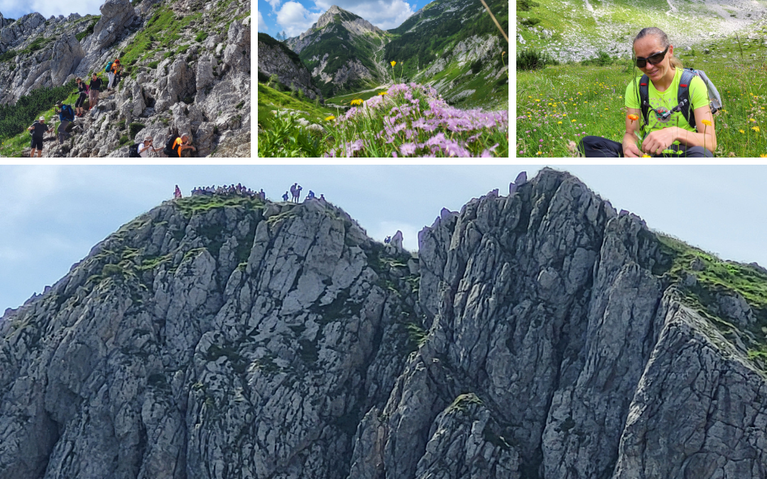 Viševnik Mogočni Viševnik in prekrasna okolica