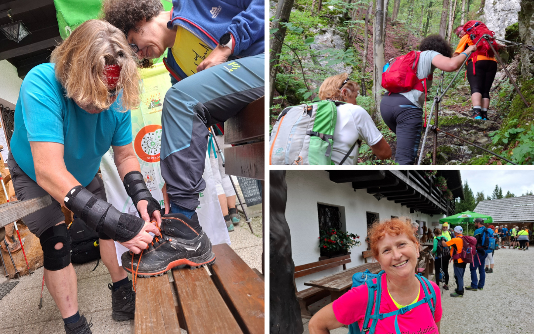 Vodiška planina Vodiška planina