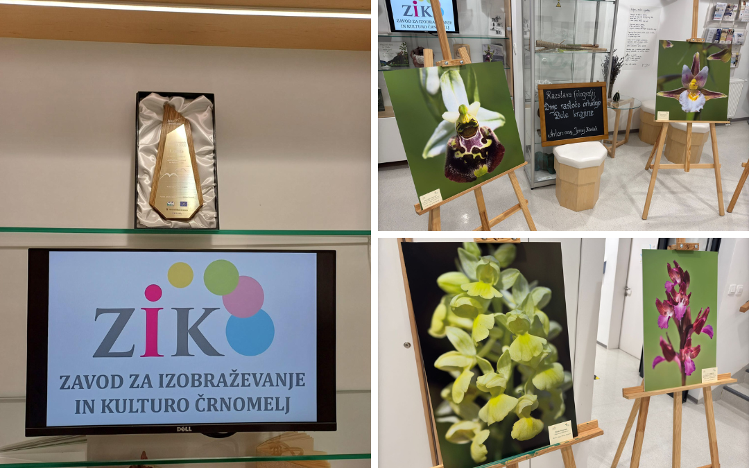 Bogastvo orhidej v ZIK Črnomelj (1)