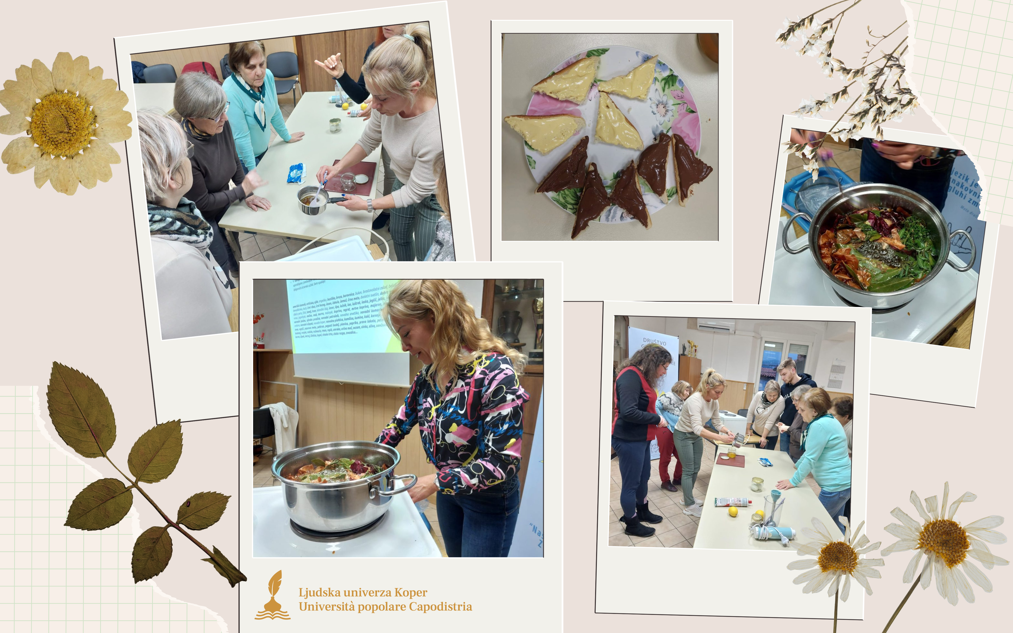 Zelišča GN (1080 x 675 mm) Zelišča GN