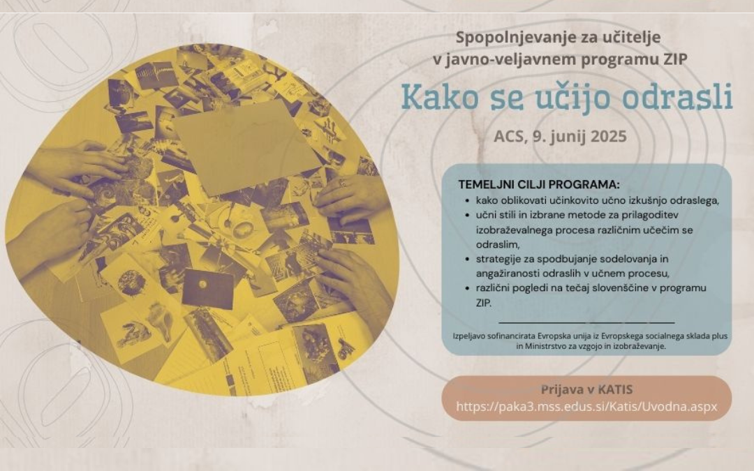Delavnica Kako se učijo odrasli, namenjena učiteljem v javno-veljavnem programu Začetna integracija priseljencev (ZIP)