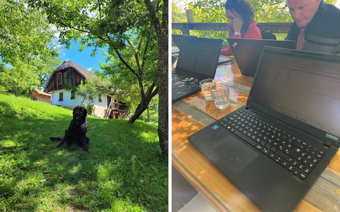 TVU na ŠC Celje (2)