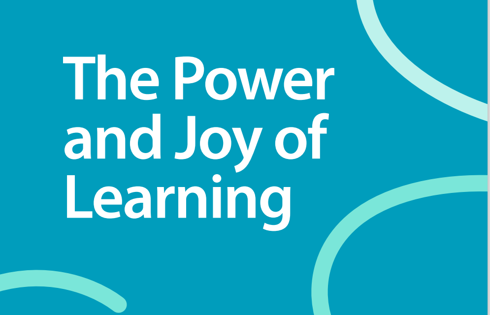 Manifesto for Adult Learning – with a Slovenian touch