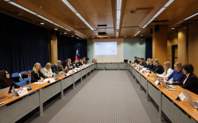 Razvoj spretnosti: med evropskimi pobudami in obstoječim nacionalnim okvirom