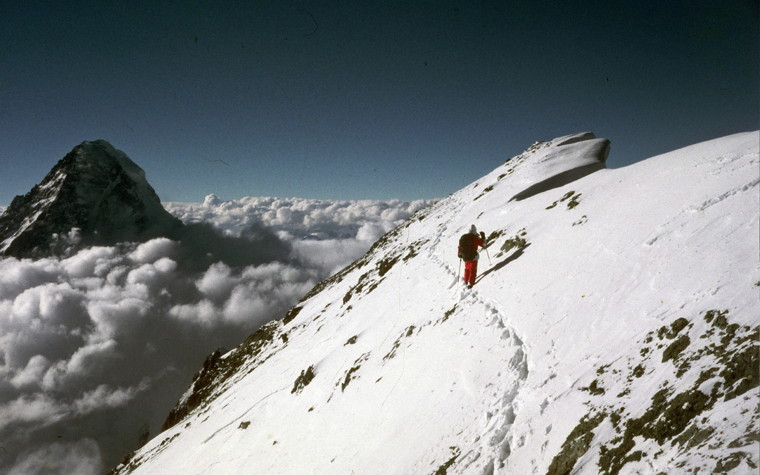 Viki Grošelj Viki Grošelj